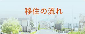 移住の流れ